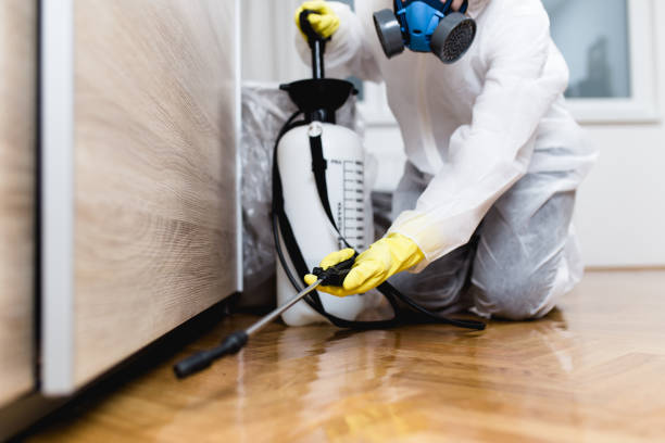 Best Ant Control Services  in Buckeystown, MD