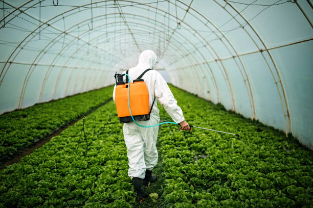 Pest Control Cost in Buckeystown, MD