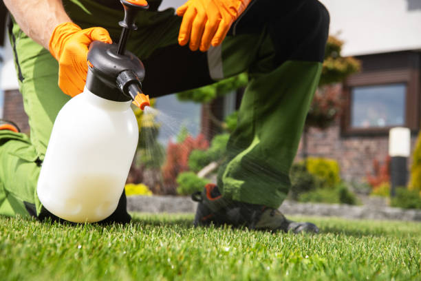 Best Affordable Pest Control Services  in Buckeystown, MD