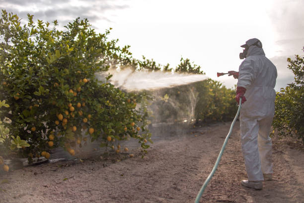 Best Residential Pest Control  in Buckeystown, MD
