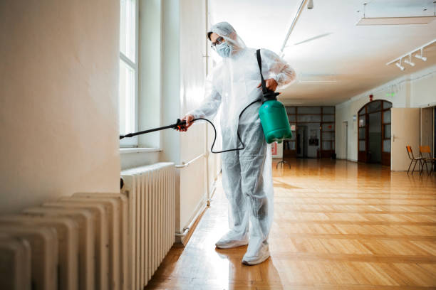 Best Pest Control Treatment  in Buckeystown, MD