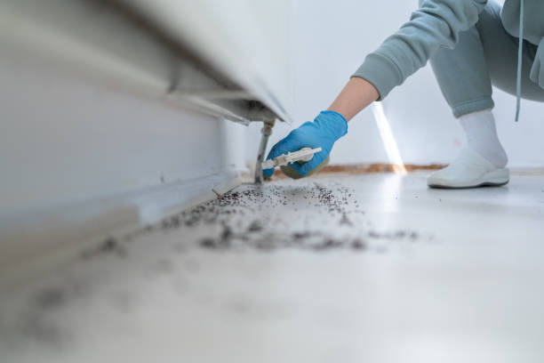 Best Best Pest Control Companies  in Buckeystown, MD